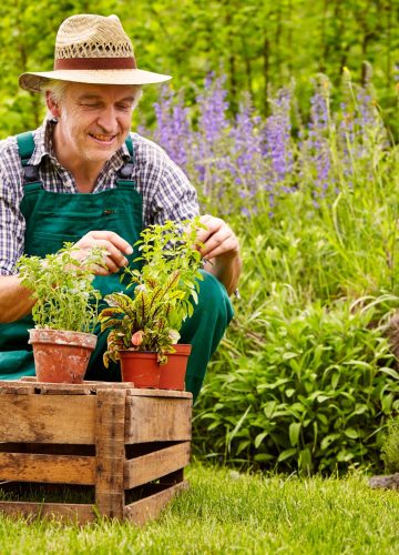 העציץ לא במיטבו? הינה כל מה שצריך לדעת על טיפול בצמחים חולים