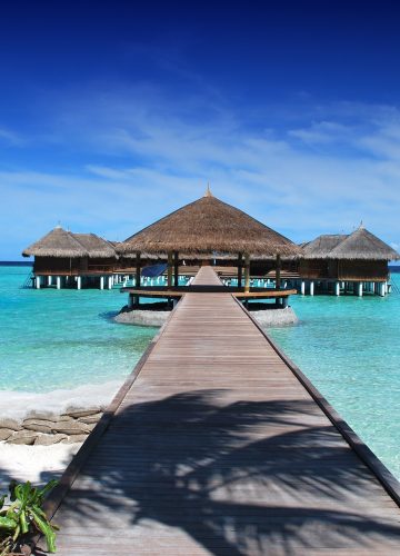 מעולם לא היה קל יותר לתכנן חופשה בחו"ל: אתר מיסטר טיקטס יסדר לכם את הטיול המושלם