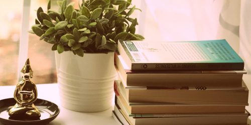 books-5240918_1280 books-5240918_1280