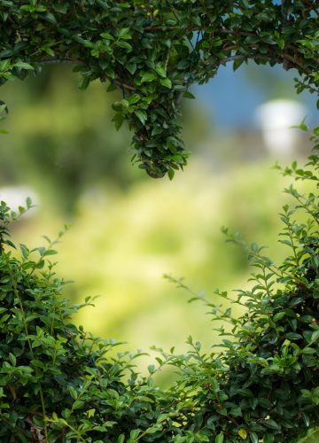 5 רעיונות ליום האהבה הקרוב