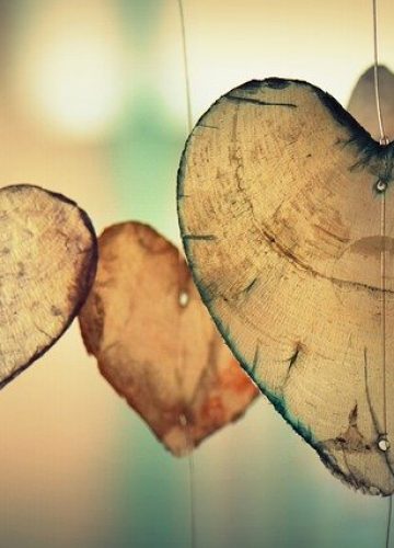 הישראלים היפים: משה, רפי ואיל אדרעי מפעילים את עמותת אחינועם כדי לתרום לחברה הישראלית