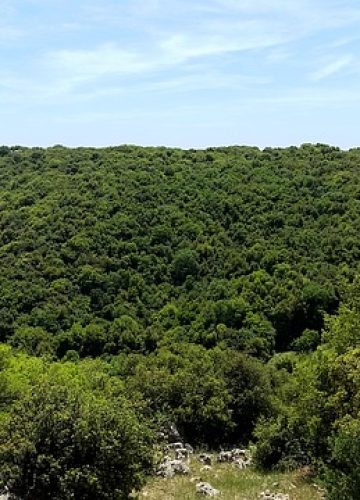 יום עם המשפחה בנצרת עילית