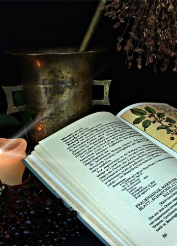 טיפול טבעי: התרופות הטבעיות שכל אחד חייב להכיר