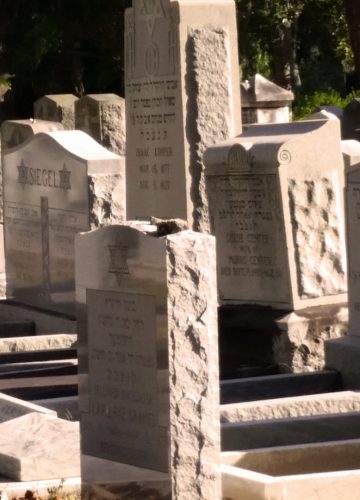 מבקרים בבית העלמין ירקון? כדאי שתשימו לב לדברים הבאים