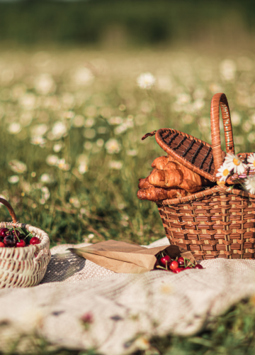 פיקניק מושלם: מתכונים, טיפים והמלצות למיקום אידיאלי